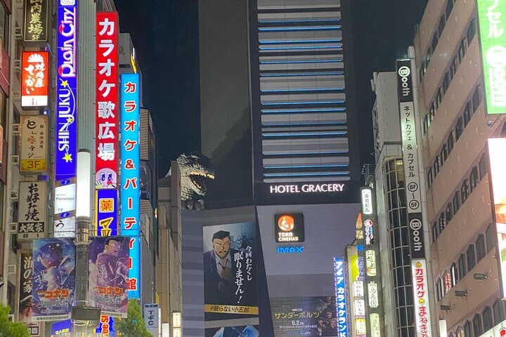 Shinjuku Bar and Izakaya Hopping with Drinks and Dinner — photo 7
