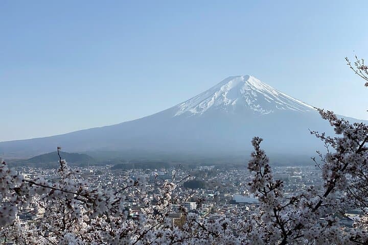 Private and Multi-day Tokyo, Mt. Fuji & Lake Kawaguchi Adventures — photo 6
