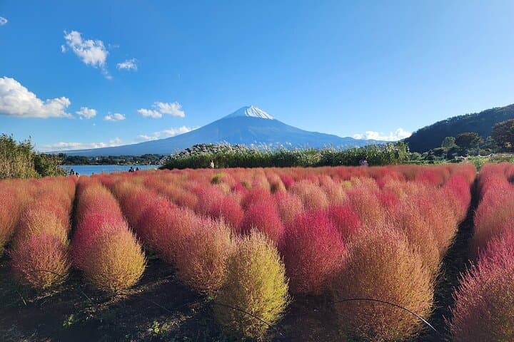 Private and Multi-day Tokyo, Mt. Fuji & Lake Kawaguchi Adventures — photo 7