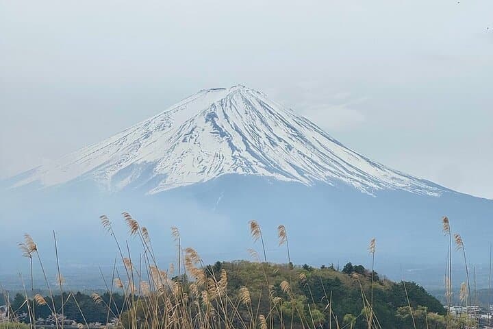 Private and Multi-day Tokyo, Mt. Fuji & Lake Kawaguchi Adventures — photo 9