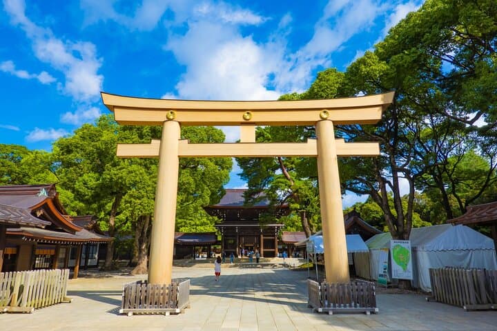 Tokyo Morning Tour Meiji Shrine, Asakusa and Local temple