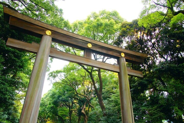 Tokyo Morning Tour Meiji Shrine, Asakusa and Local temple — photo 8
