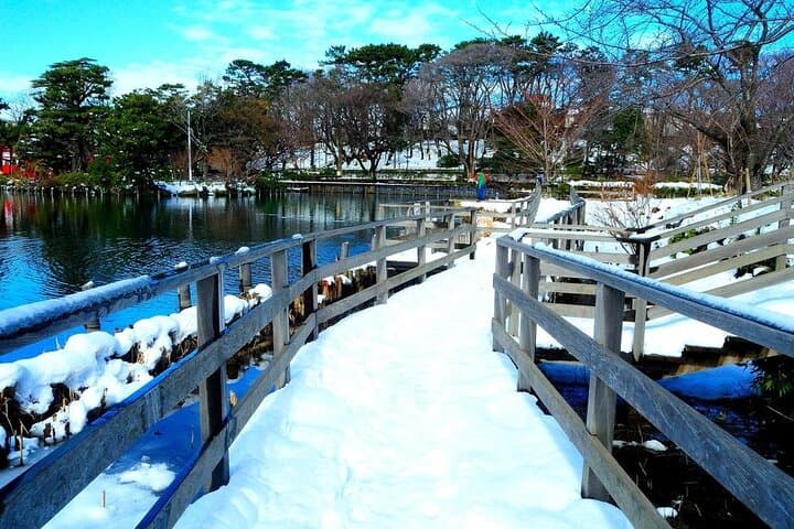 Let's take a walk in the park together!!! — photo 11