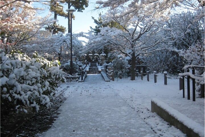 Let's take a walk in the park together!!! — photo 12