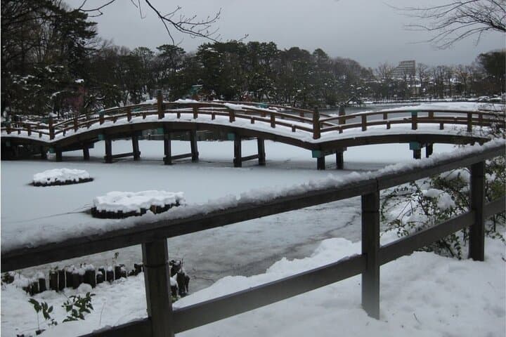 Let's take a walk in the park together!!! — photo 14