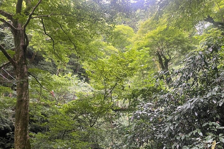 Tokyo’s Mt. Takao Hike — photo 2