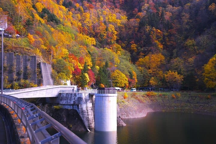 Autumn Tour from Sapporo Hoheikyo Dam and Hoheikyo Onsen — photo 3