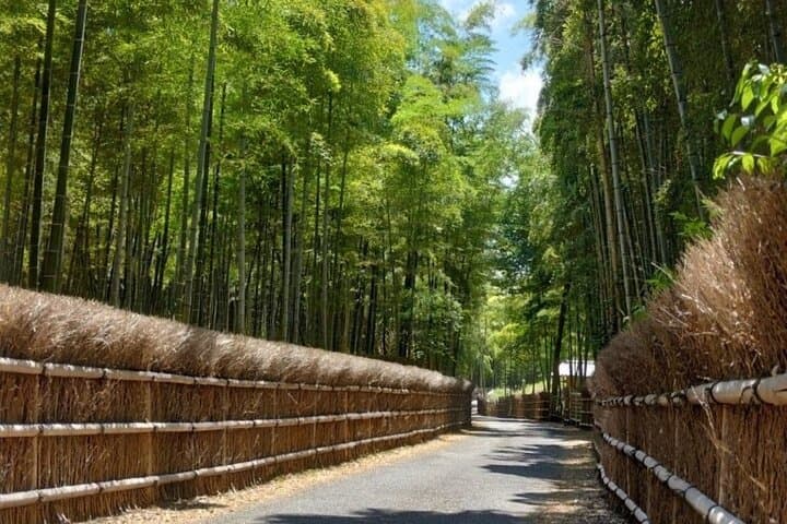 Explore a Hidden Bamboo Grove and Temple with a Kyoto-Local Guide — photo 2