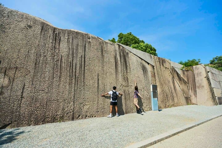 Osaka Castle Walking Tour and Castle Tower Admission — photo 4