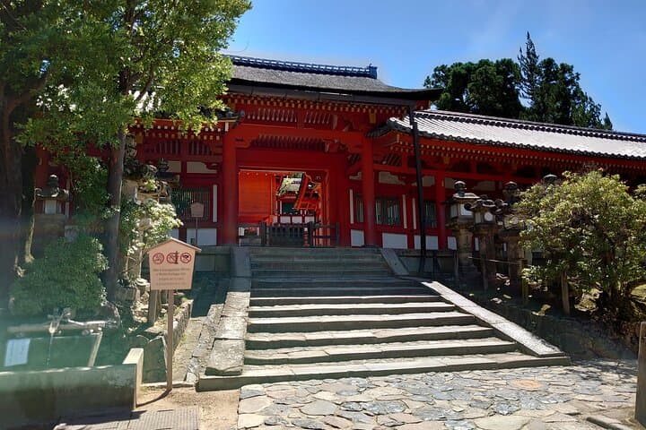 First Time Nara Tour UNESCO Sites with Lunch and Autumn foliage — photo 8