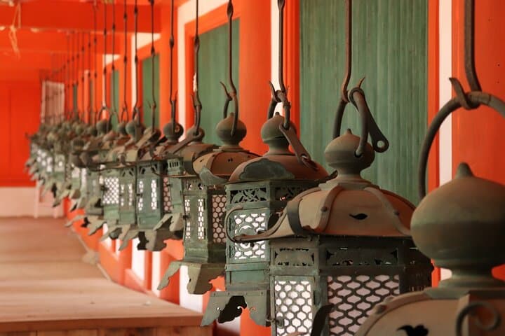 First Time Nara Tour UNESCO Sites with Lunch and Autumn foliage — photo 12