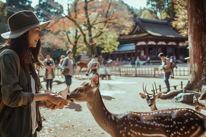 First Time Nara Tour UNESCO Sites with Lunch and Autumn foliage — photo 5