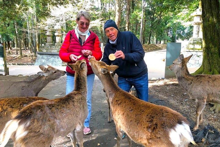 Nara: Half-Day Private Tour of 4 Must-See Spots & Deer Park — photo 4