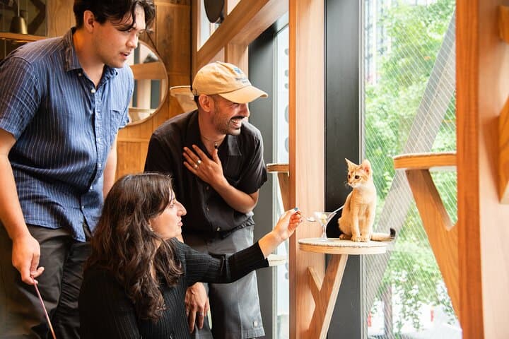 Akihabara Pop Culture and Relaxing Cat Café Tour with Local Guide — photo 1