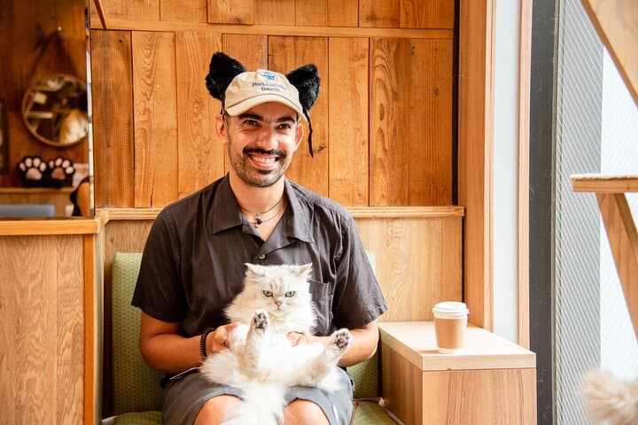 Akihabara Pop Culture and Relaxing Cat Café Tour with Local Guide — photo 2