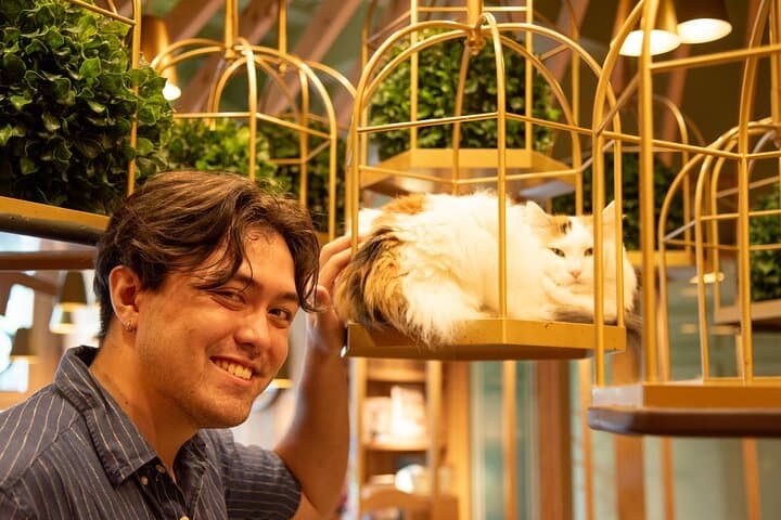 Akihabara Pop Culture and Relaxing Cat Café Tour with Local Guide — photo 4