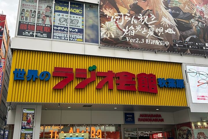 Akihabara Pop Culture and Relaxing Cat Café Tour with Local Guide — photo 13