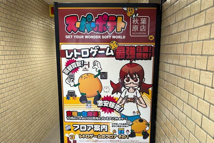 Akihabara Pop Culture and Relaxing Cat Café Tour with Local Guide — photo 14