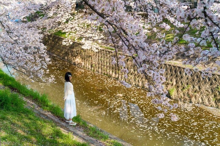 Kyoto Local Guide tour (bonus with photo) — photo 17