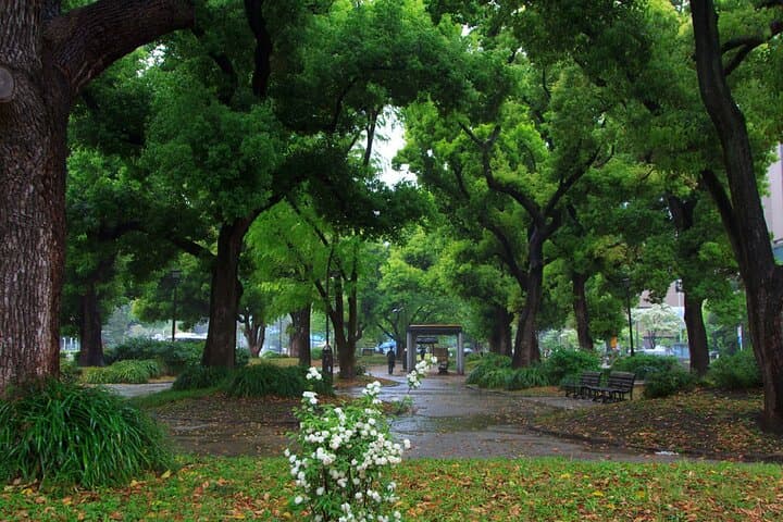 Tokyo City Walking Tour: Tokyo Tower Zojoji Temple and Shiba Park — photo 4