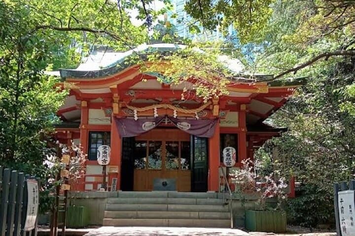 Tokyo City Walking Tour: Tokyo Tower Zojoji Temple and Shiba Park — photo 6