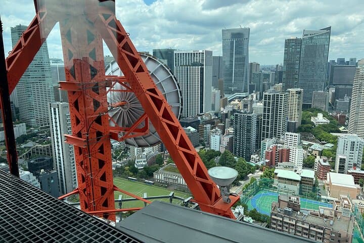 Tokyo City Walking Tour: Tokyo Tower Zojoji Temple and Shiba Park — photo 9