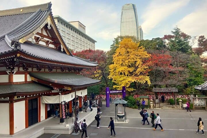Tokyo City Walking Tour: Tokyo Tower Zojoji Temple and Shiba Park — photo 10