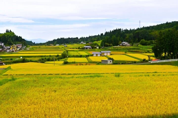 Hiking the Historic Nakasendo Trail [1 Day Tour from Nagoya] — photo 8