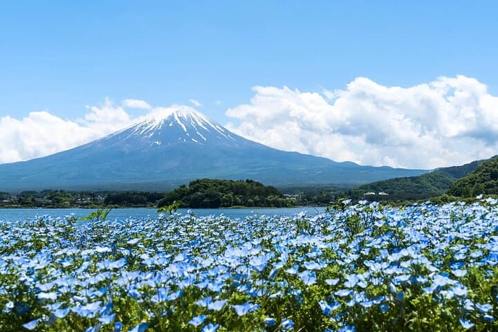 Mount Fuji Day Trip Around Lake Kawaguchiko — photo 1