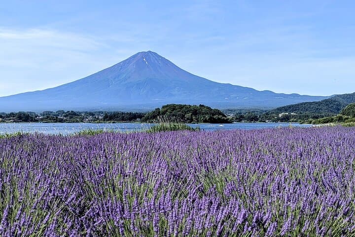 Mount Fuji Day Trip Around Lake Kawaguchiko — photo 9