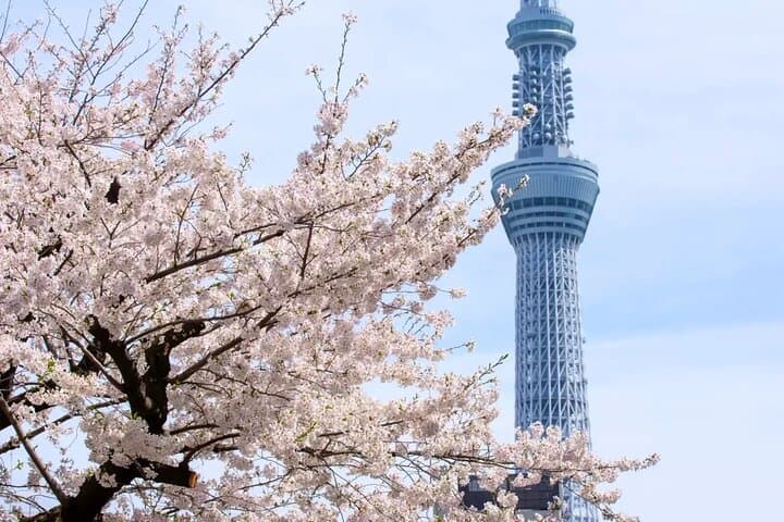 1 Day Walking Tour in Asakusa Traditional Tokyo and Nature — photo 2