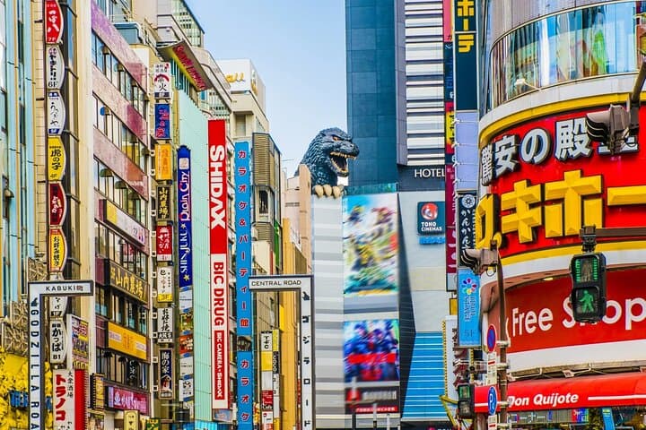 Day Tour in Shinjuku and Kagurazaka Tokyo Hotspot and Hidden Gems — photo 1