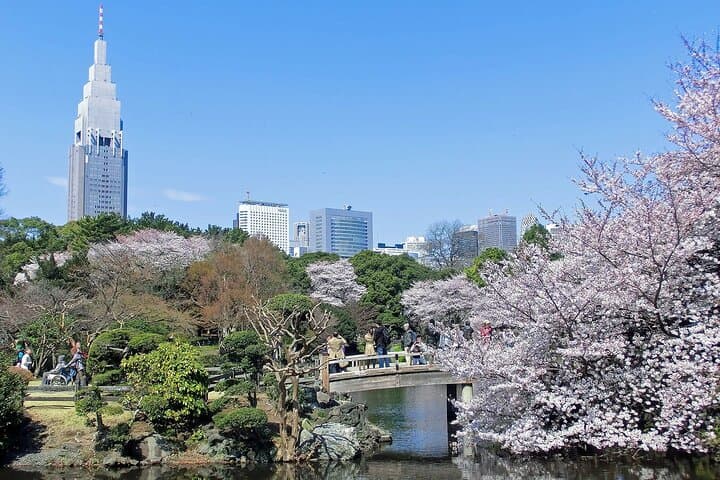 Full Day Walking Tour in Shinjuku and Shibuya — photo 3