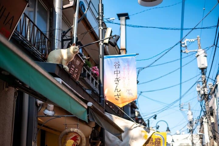 Ueno and Yanaka Culture Art Walking Tour in Old Tokyo — photo 7