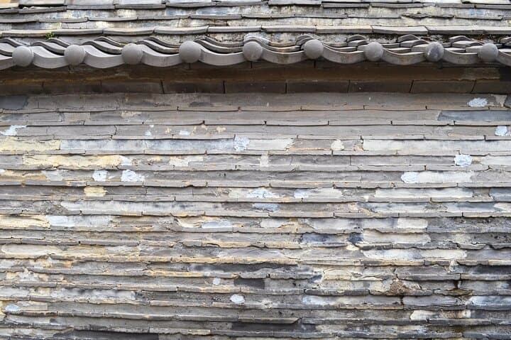 Walking Tour in Yanaka Nezu and Sendagi: Tea Ceremony & Old Tokyo — photo 7