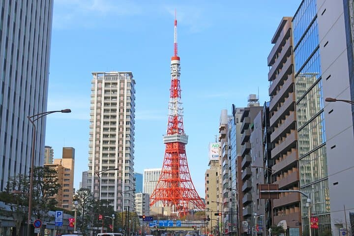 Tokyo Walking Tour : Sumo, Sushi, Tea, Temples and Tokyo Tower — photo 4