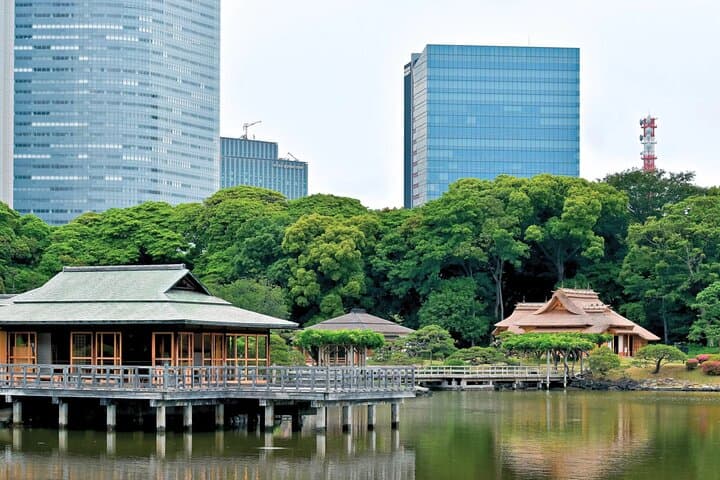 Tokyo Walking Tour : Sumo, Sushi, Tea, Temples and Tokyo Tower — photo 9