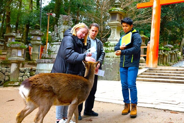 Nara: 1.5 Hour Private Kasuga Taisha Shrine Tour - World Heritage — photo 13
