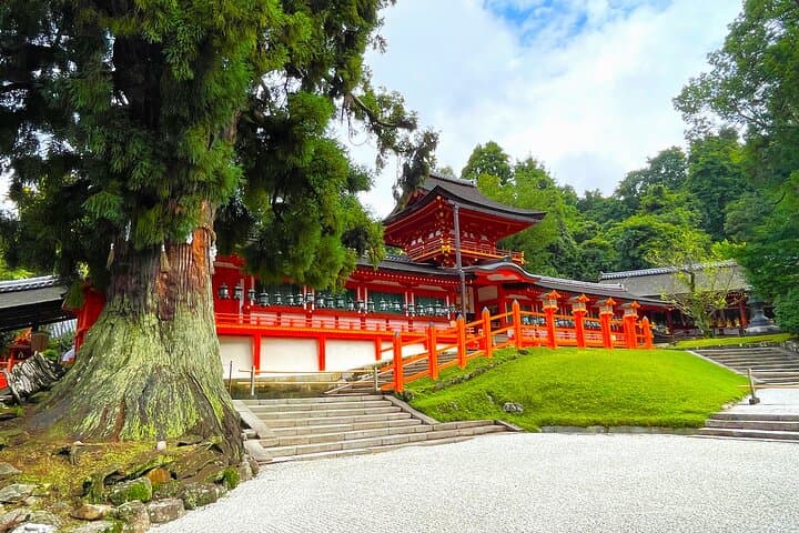 Nara: 1.5 Hour Private Kasuga Taisha Shrine Tour - World Heritage — photo 3