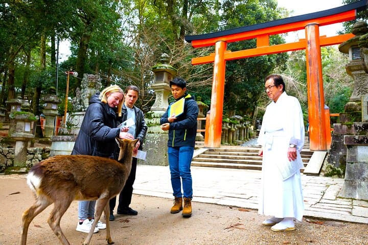 Nara: 1.5 Hour Private Kasuga Taisha Shrine Tour - World Heritage — photo 2