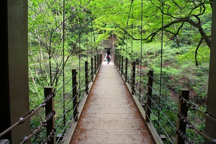 Walking Tour Mount Takao : Nature and Tradition in Tokyo — photo 4