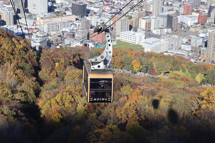 Sapporo: Mt. Moiwa Ropeway Tour – Day or Night, 4 Options — photo 10