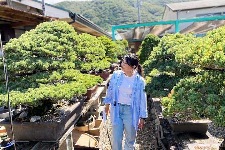 Create Your Own Pine Bonsai & Discover Aesthetics in Osaka Ikeda — photo 10