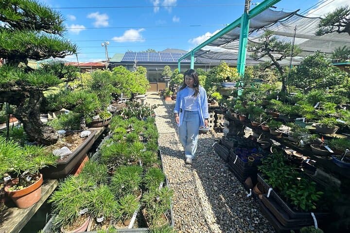 Create Your Own Pine Bonsai & Discover Aesthetics in Osaka Ikeda — photo 11