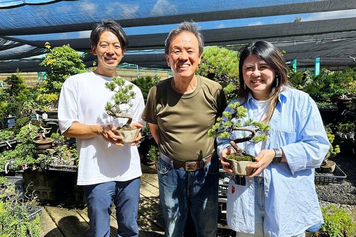 Create Your Own Pine Bonsai & Discover Aesthetics in Osaka Ikeda — photo 2