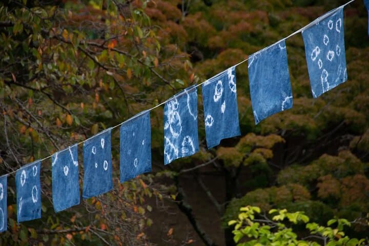 Walking Tour in Himeji Castle Garden and Aizome Indigo Dyeing — photo 9