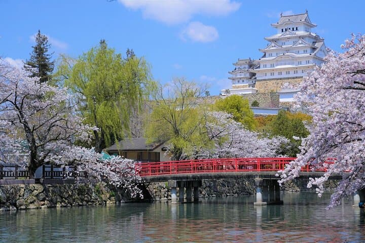 Walking Tour in Himeji Castle Garden and Aizome Indigo Dyeing — photo 5