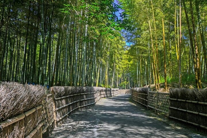 Traversing Kyoto's Scenic West - Arashiyama to Kinkakuji — photo 2
