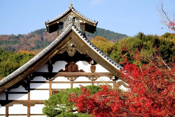 Traversing Kyoto's Scenic West - Arashiyama to Kinkakuji — photo 7