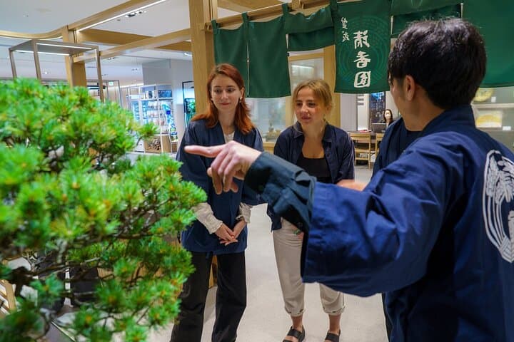 Tokyo: Bonsai Making Experience with Bonsai Master — photo 3